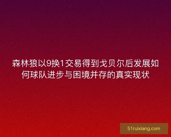 森林狼以9换1交易得到戈贝尔后发展如何球队进步与困境并存的真实现状